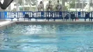 Swiss Diving 2011