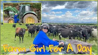 Farm Girl For A Day | Dairy Farm life | Pinay Mom In Newzealand 🇳🇿