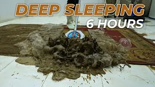 Drift into Deep Sleep with Carpet Cleaning Sounds &ndash; ASMR for Relaxation - Deep Sleeping
