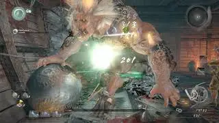 Nioh:  I Actually Think This Game Is Bad