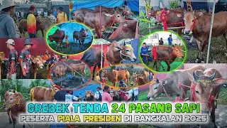Suasana kerapan sapi Piala Presiden di SKEB Bangkalan 2025