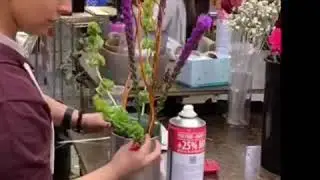 Making Bobbie's Signature Paradise of Color