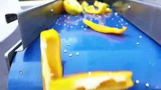 Universal Cutting Machine Mod. SS8 - Pepper WEDGES