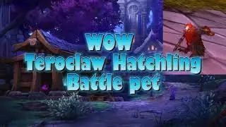 WOW Teroclaw Hatchling Battle pet location