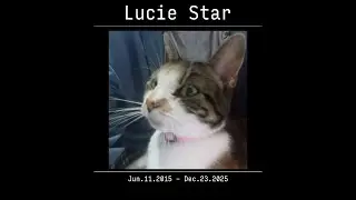 DEC2 2025 | E23 [Read Desc]