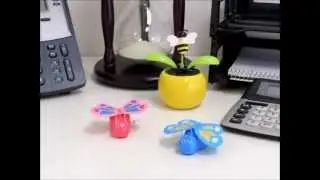 Butterfly Wind Up