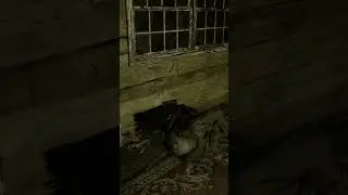 RIP Soldier! | #dmartin757 on #Twitch #YouTube #ResidentEvil7 #EndOfZoe