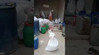 Washing powder factory 😳#ytshort #1m #youtube #business #surf @AoSekhain-eo1q
