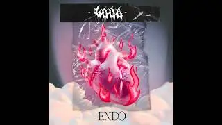 Endo - Love