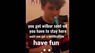 You have been Wilbur Soot-ed: #shorts#wilbursoot #dream #stay