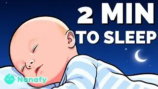 WILD! 2 MINUTES TO FALL ASLEEP | baby sleep music