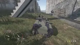 DayZ