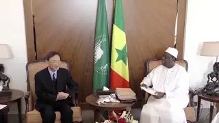 Senegalese president and senior Chinese official hold talks