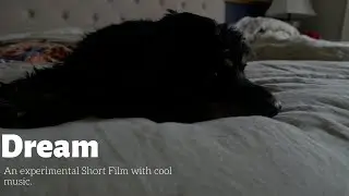 Dream | An experimental Short Film | A minimal electronica musical | Sony A6400