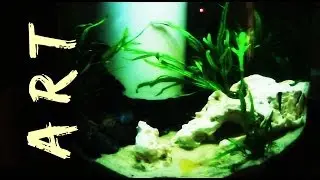 AQUARIUM TIME LAPSE - Marina 360 Aquarium : Aqua Art