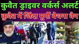 Kuwait Today Driver Worker Alert Poultry Bad News