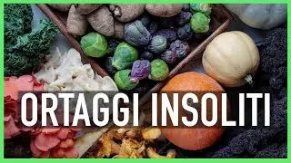 COLTIVARE ORTAGGI INSOLITI: CHAYOTE, CICERCHIA, CAPPERI, PASTINICA E GOJI