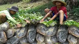 Fishing Hole Video in Dry Season 2020 - Unique Skill Videos Catching Fish
