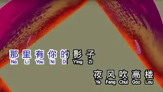 庄学忠   《 追梦 》  zhui meng
