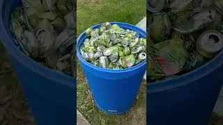 How to get Mountain Dew mouth in Kentucky!