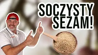 Soczysty sezam! Dlaczego nie warto go jeść bez obr&oacute;bki ?