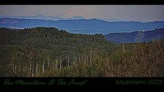 The Mountain & The Forest | Sound Art by Aleamanic