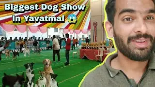 Biggest Dog Show In Yavatmal 2024 😱 | Angel Ne Kiya Bohot Pareshan | Yash Kadam Vlog