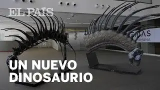As&iacute; es el DINOSAURIO descubierto en ARGENTINA