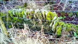 Ancient Mamucium The Roman Empire III : Old Wall in Field next to Quarry for Roman Road.