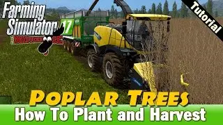 Farming Simulator 17 - How To Plant and Harvest Poplars