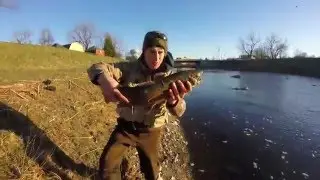 March Steelhead on Cayuga Creek