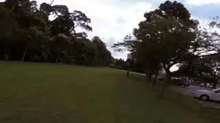 Minikwad