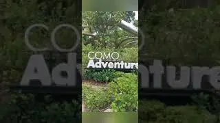 What to expect at COMO Adventure Grove at Gallop Extension!