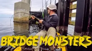 Bridge Fishing for Sheepshead in Panama City - Multiple Surprise Catches!