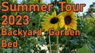Back Yard Garden Bed | Summer Update Tour Series 2023 | Texas Cross Timbers Permaculture Farm
