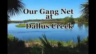 Our Gang Net at Dallus Creek in the Big Bend Wildlife Area