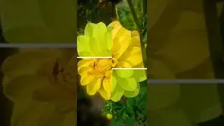 Before After Reel Editing