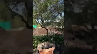 Compost production at its best.