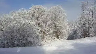 Олд-Фордж, штат Нью-Йорк