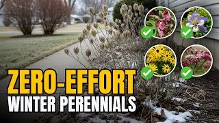 The Lazy Gardener’s Hack: 7 Perennials That Plant Themselves in Winter