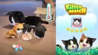 Ads - Kitten Match (3)