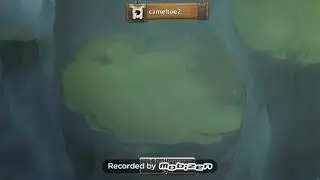 VAMPIRIC GRAIL DOVE IN ACTION 😱🥰