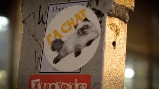 La Chat - Battle of the Brands 2019