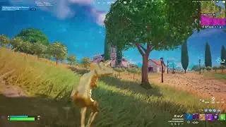FORTNITE