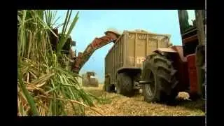 Sugar Cane Paperboard Production Process
