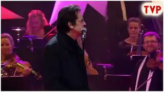 Wesołych świąt - Shakin Stevens dał mi inspirację aby rozpocząć wymyślanie świątecznych piosenek. 