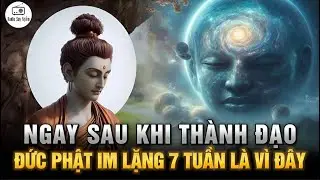 Vì sao Đức Phật im lặng 7 tuần sau khi thành Đạo? - Sự Hình Thành Đạo Phật Bắt Đầu Từ Đây