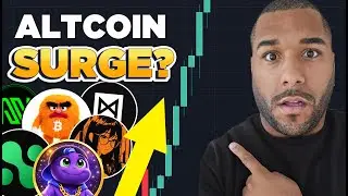 Will ALTCOINS SURGE In The Coming Months?! PAY ATTENTION TO THESE ALTS!