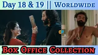 Animal Day 18 & 19 Box Office Collection Worldwide || Advance Booking Kitna Hua|| Animal Day 19 !!