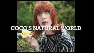 Miss Coco Presents: Coco's Natural World